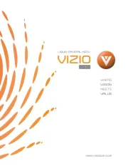 Vizio
