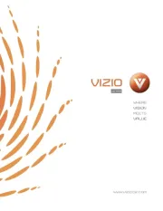 Vizio