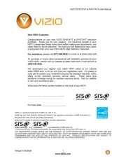 Vizio