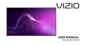 Vizio