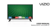 Vizio