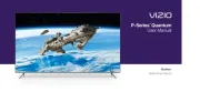 Vizio