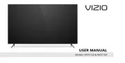 Vizio