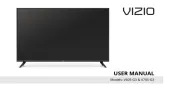 Vizio