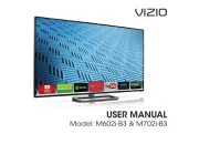 Vizio