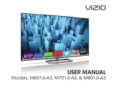 Vizio
