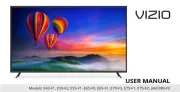 Vizio