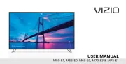 Vizio