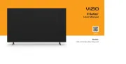 Vizio