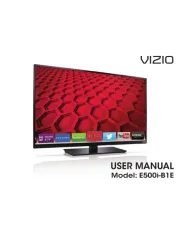 Vizio