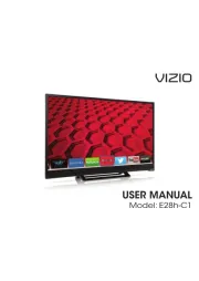 Vizio