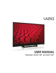 Vizio