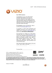 Vizio