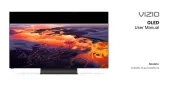 Vizio