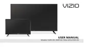 Vizio