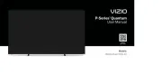 Vizio