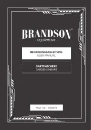 Brandson