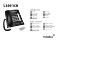 Noabe