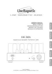 Line Magnetic