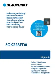 Blaupunkt