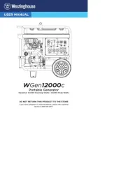 Westinghouse