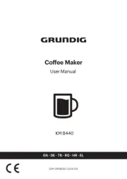Grundig