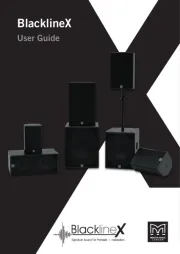 Martin Audio