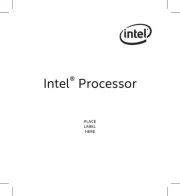 Intel