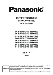 Panasonic