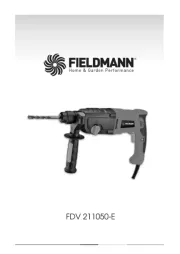 Fieldmann