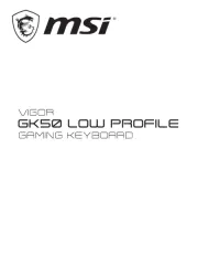 MSI