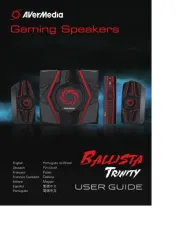 AVerMedia
