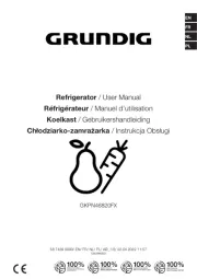 Grundig