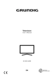Grundig